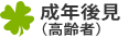 成年後見（高齢者）